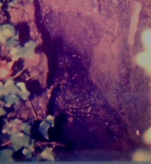 Fomt de les Bobines ( amb aigua) - any 1986 - Arxiu Rasola